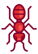 ant Ant.